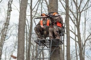 ladder deer stand