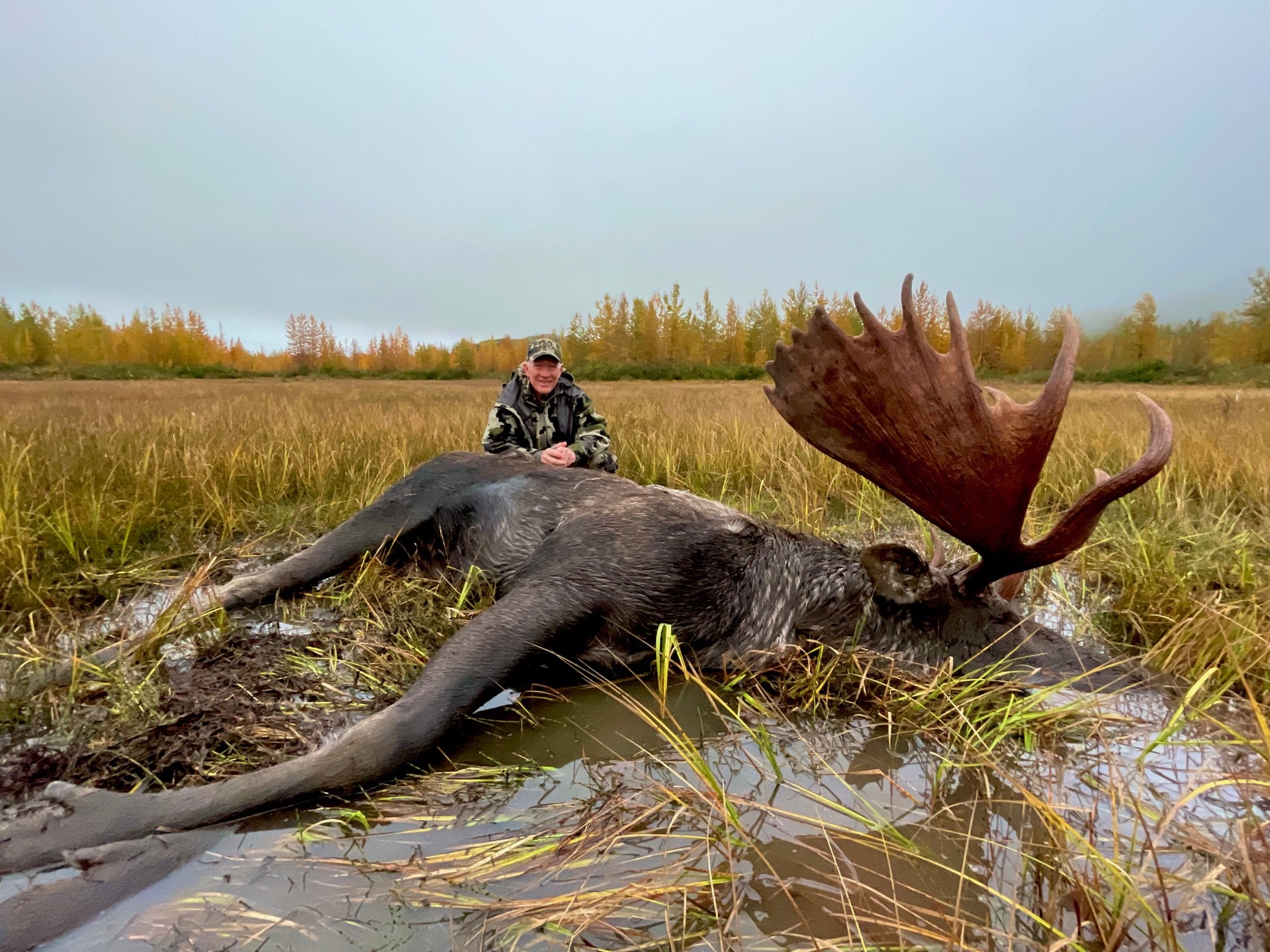 Joe's Moose in Alaska