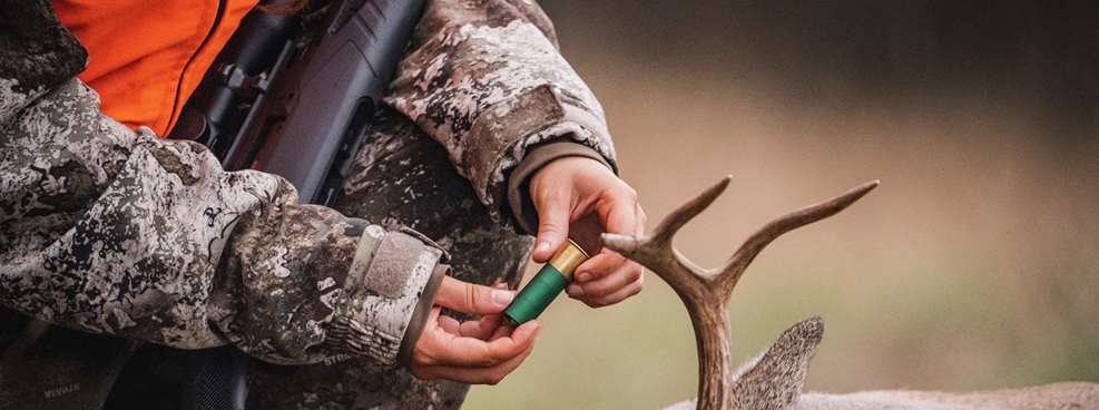 shotgun slug and deer rack